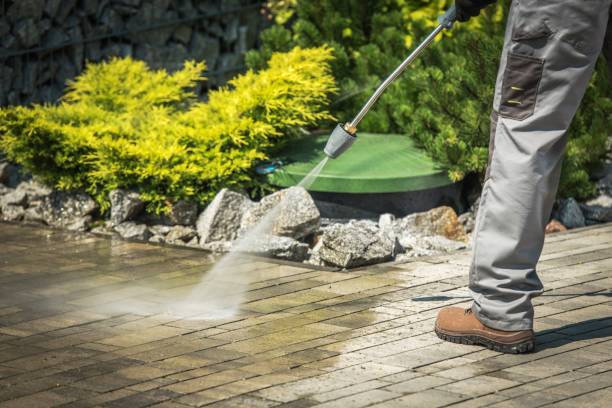 Best Pre-Holiday Cleaning  in Thomaston, GA